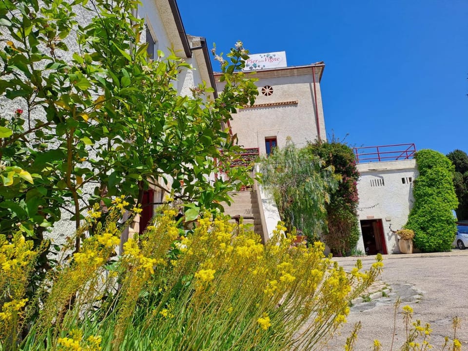 Inner courtyard view