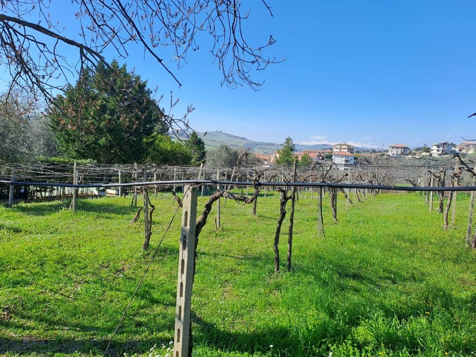 Patio, Balcony/Terrace