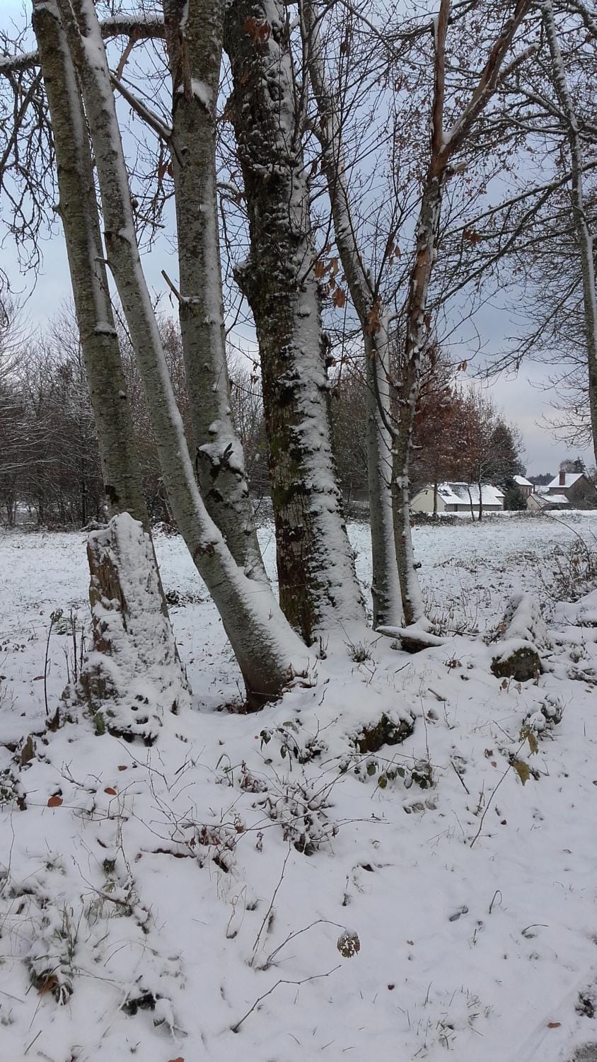 Property building, Natural landscape