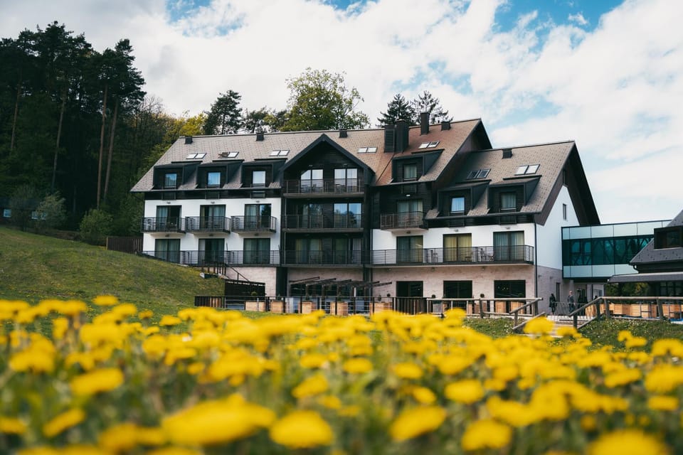 Property building, Spring, Day, Natural landscape