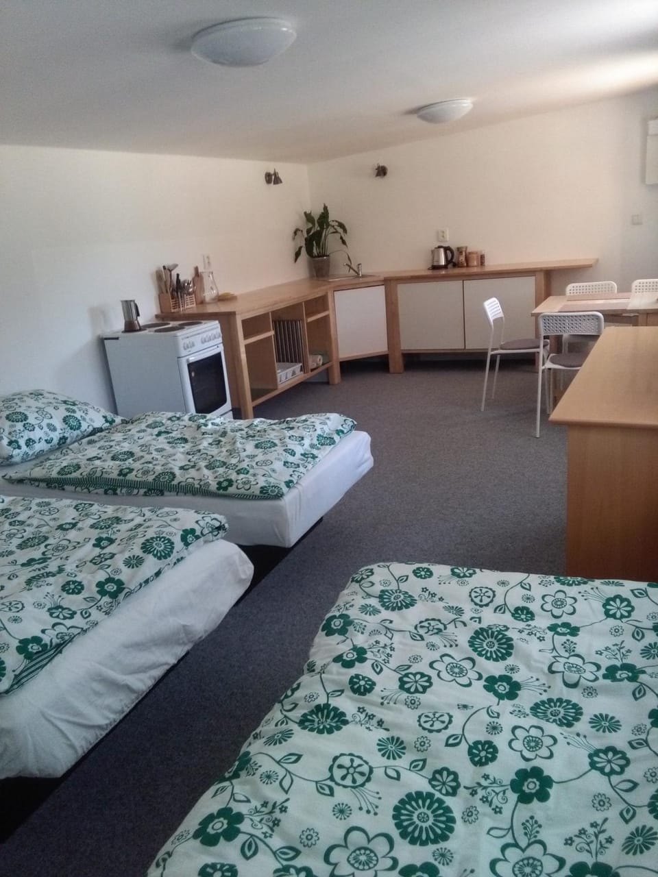 Photo of the whole room