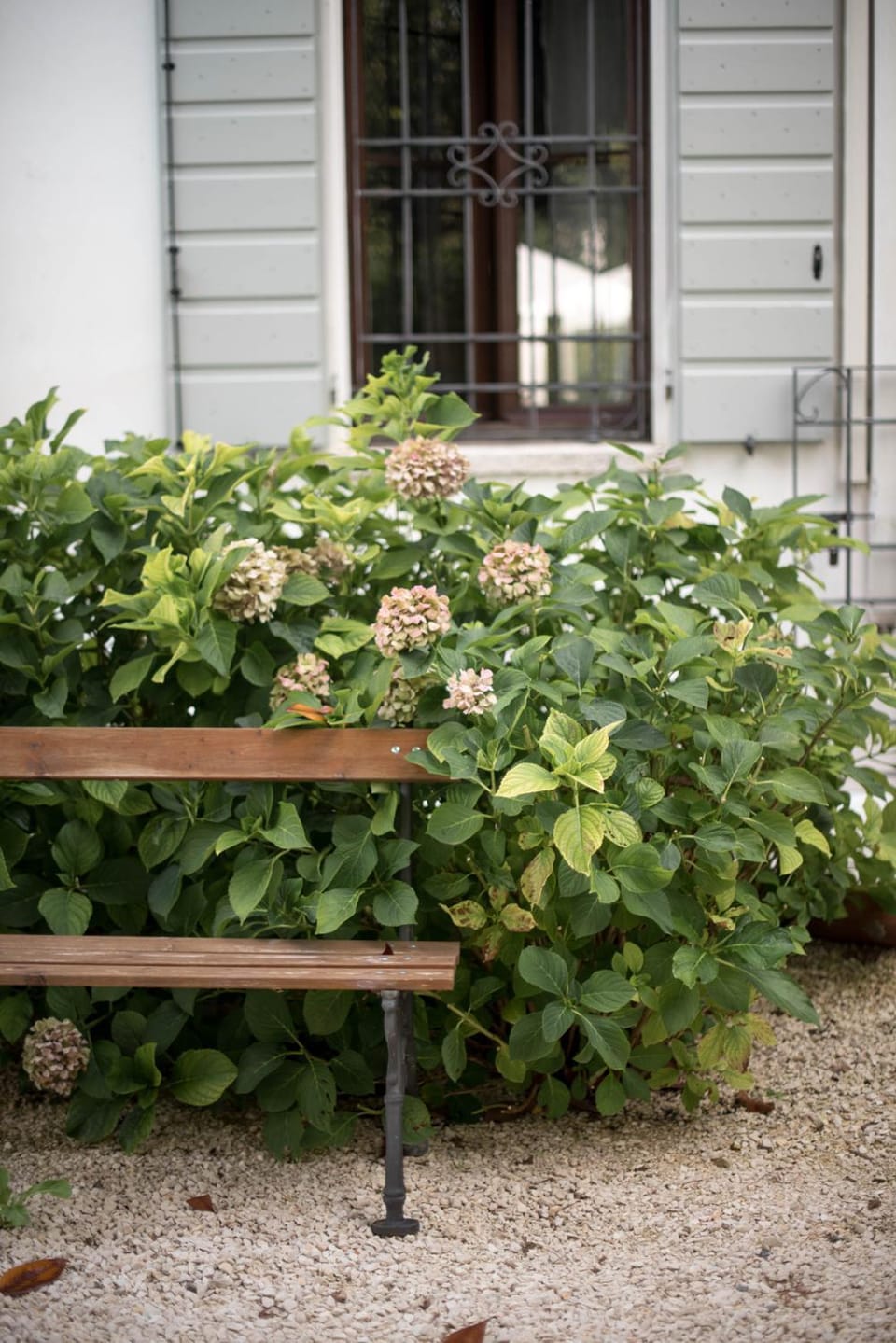 Property building, Garden, Garden view