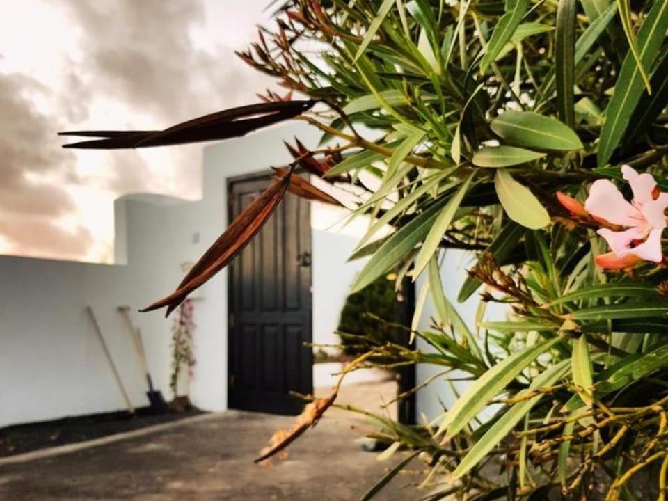 B&B La Mimosa Bed and Breakfast in Isla de Lanzarote