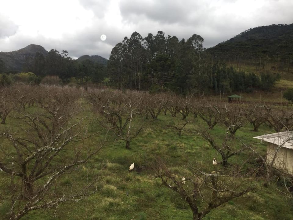 Pousada Sabor da Roça Inn in State of Santa Catarina