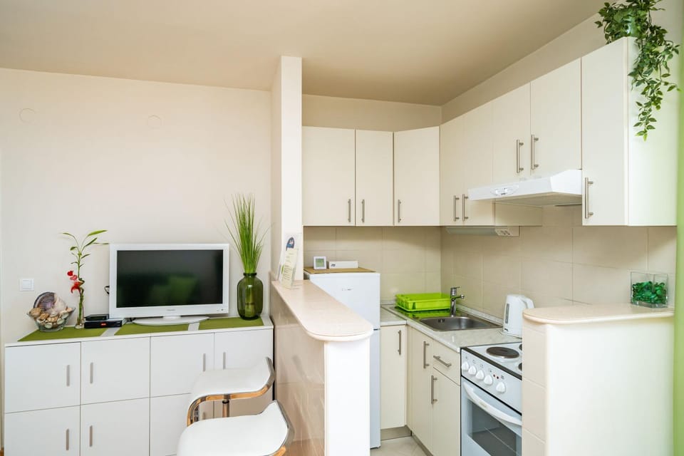 Kitchen or kitchenette, kitchen
