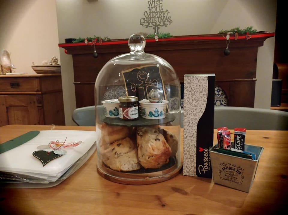 dog friendly nancecliff cottages House in Looe