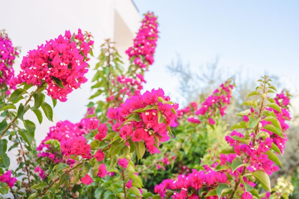 Villa Marina Apartment in Lefkada