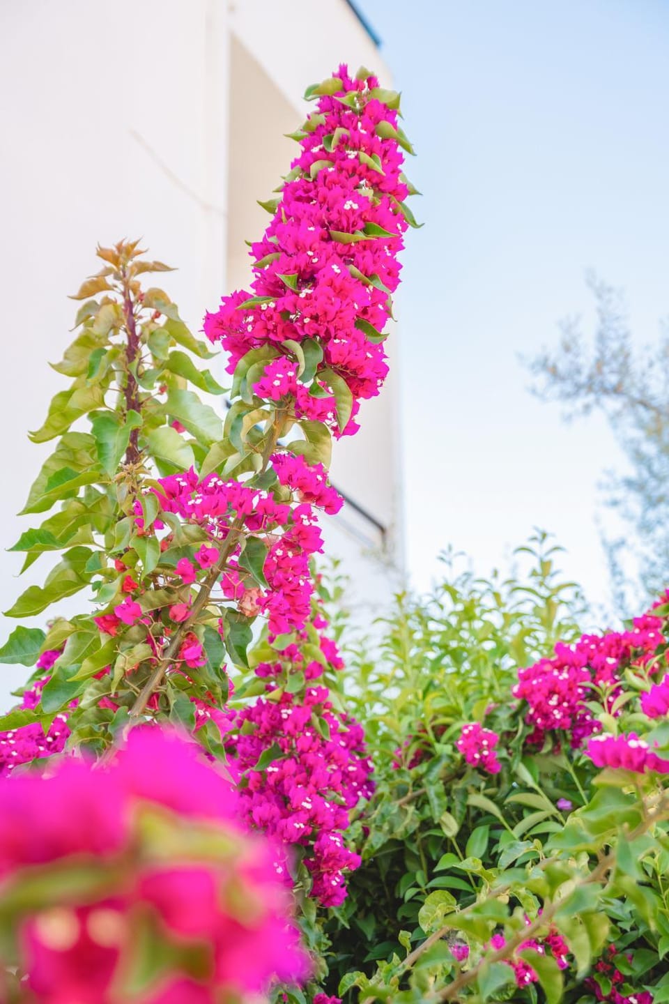 Villa Marina Apartment in Lefkada