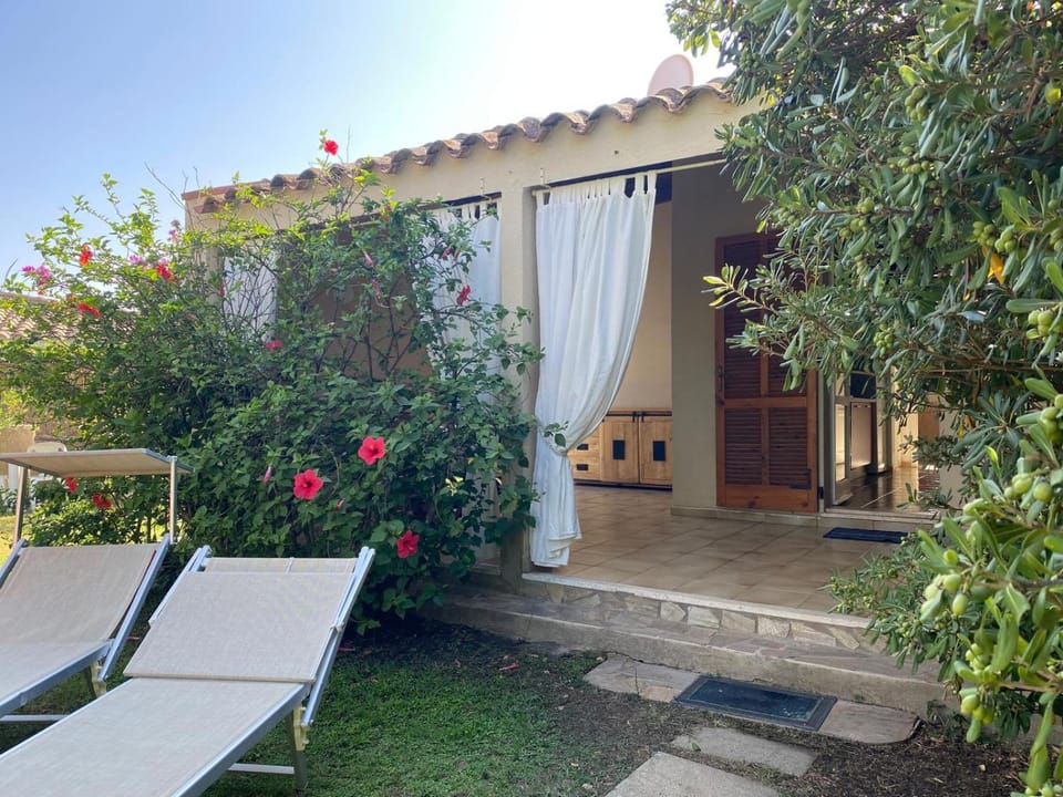 Property building, Patio, Garden, sunbed