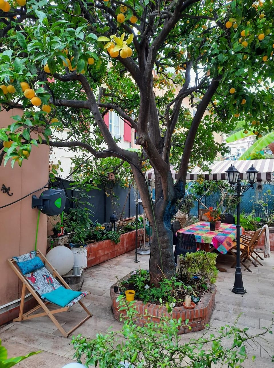 Garden view