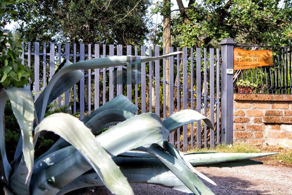 Il Castelletto del Salamaro House in Viterbo