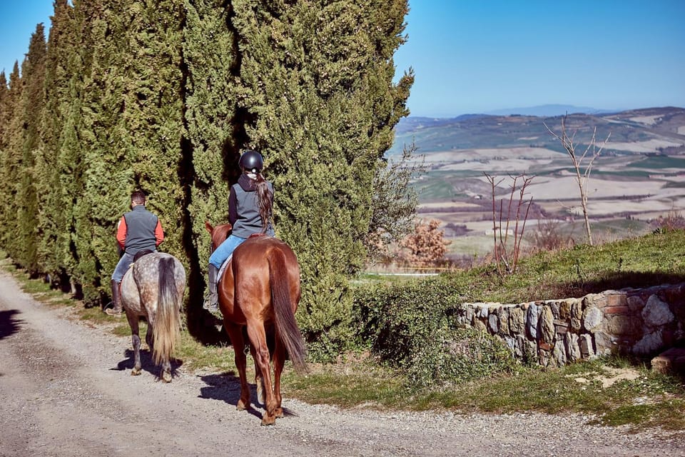Horse-riding, Animals