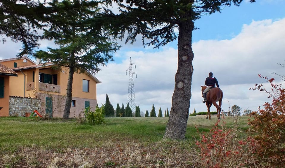 Horse-riding, Animals