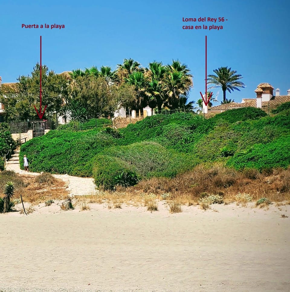 Property building, Beach, Beach, City view, Location
