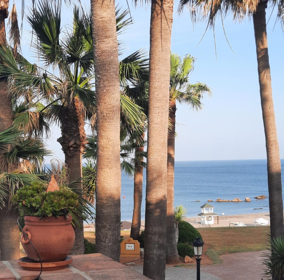 View (from property/room)