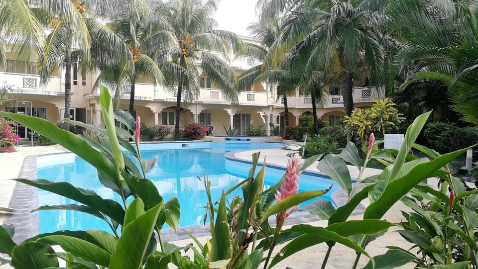 Garden view, Pool view, Swimming pool