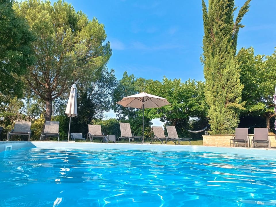 Garden, Swimming pool, sunbed