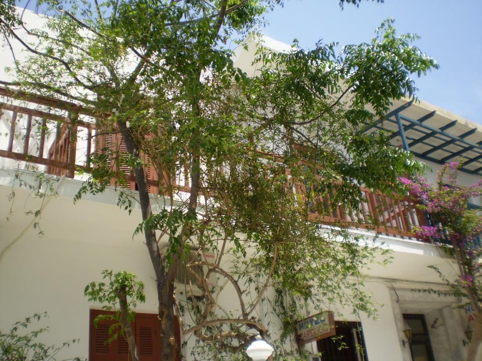 Facade/entrance, Day