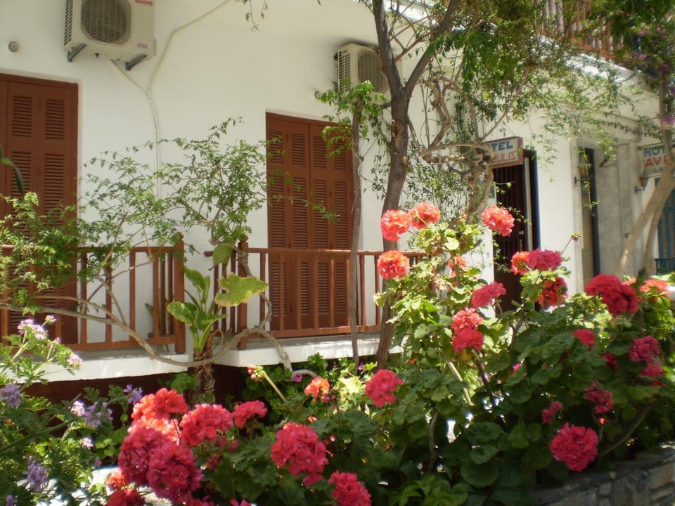 Facade/entrance, Day