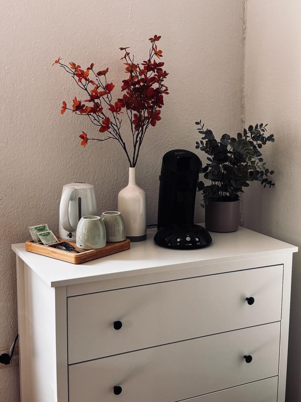 Apartment Molea Apartment in Freiburg