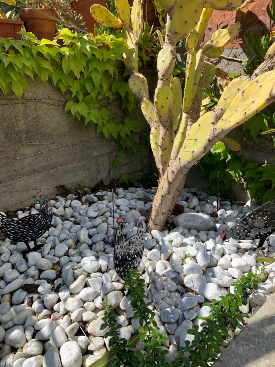 Garden view