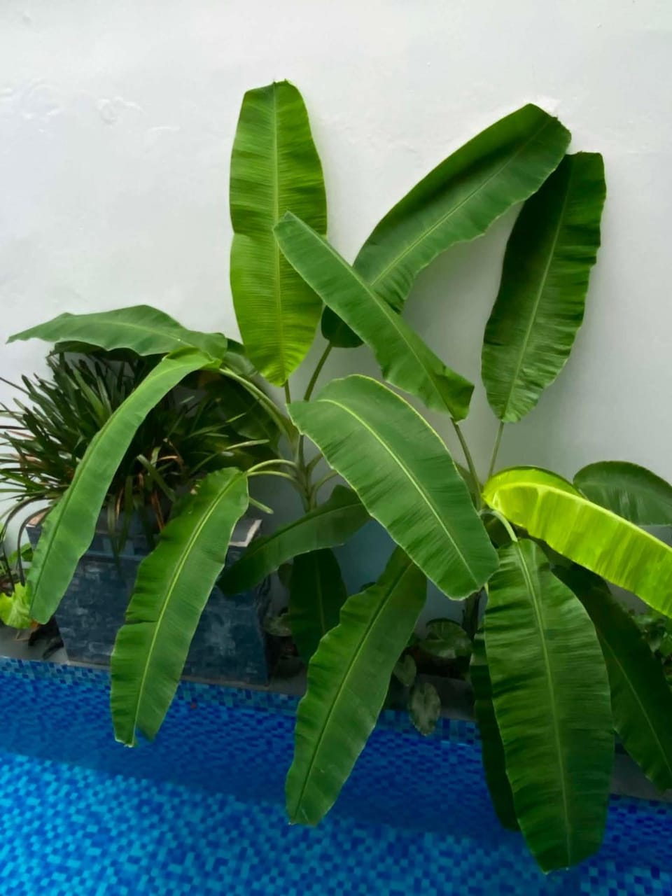Center Tam Coc Homestay Vacation rental in Vietnam