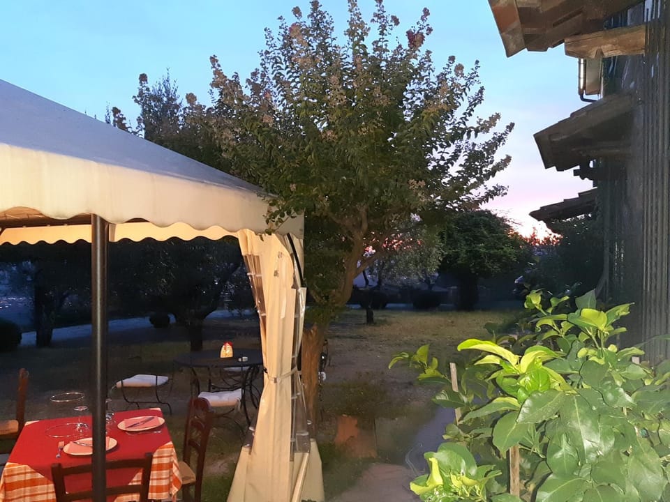 Patio, Day, Garden, Other, Garden view