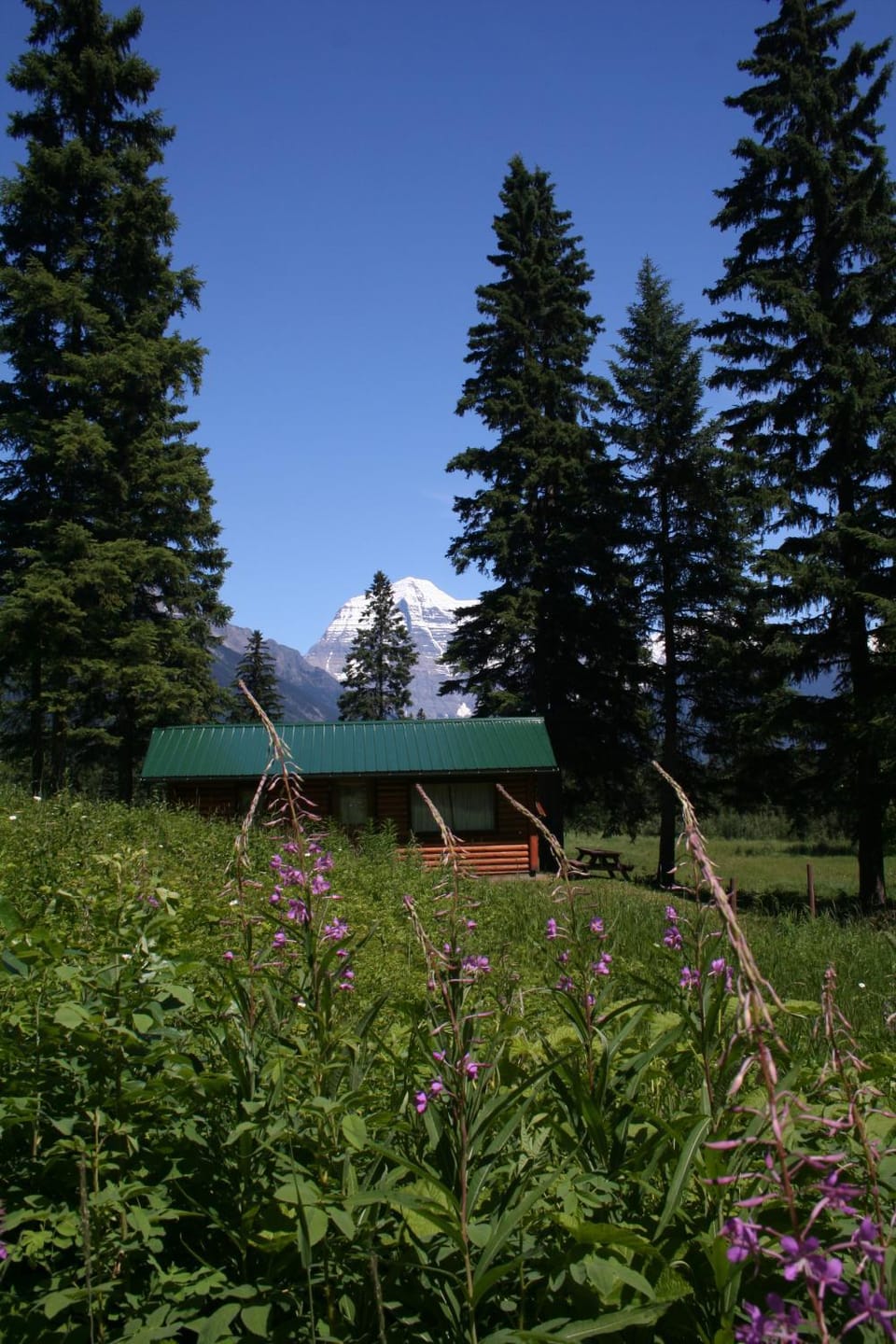 Mountain view