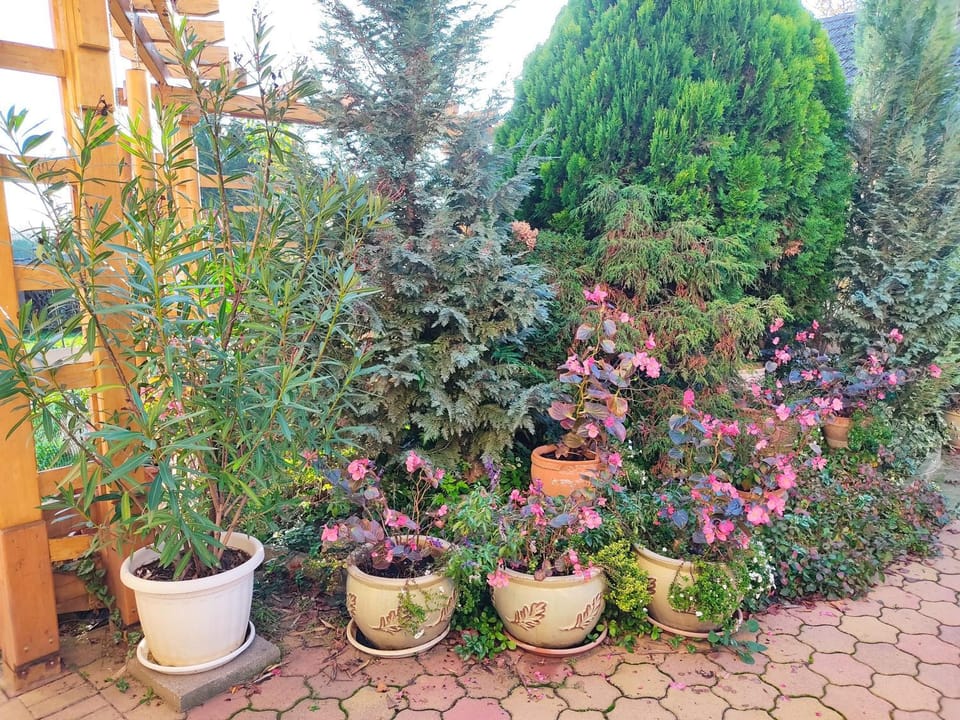 Hubertus Panzió Bed and Breakfast in Hungary