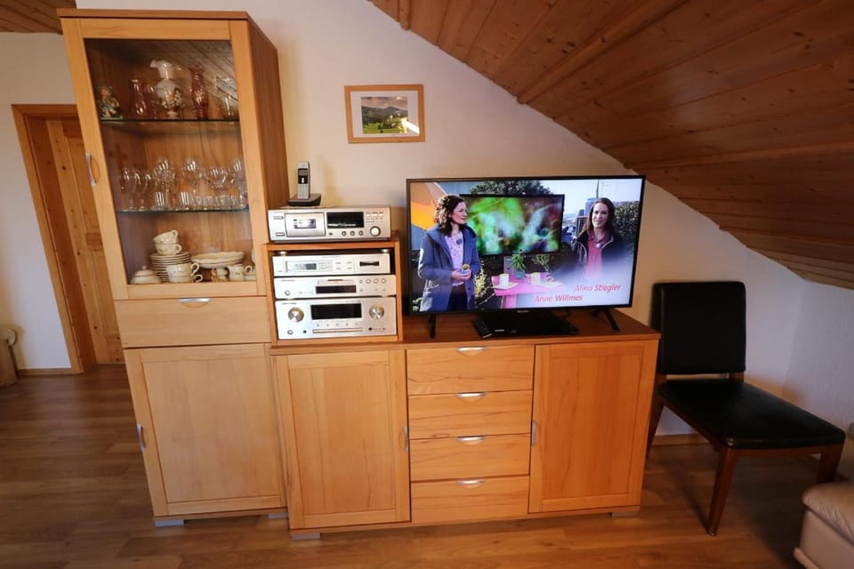 TV and multimedia