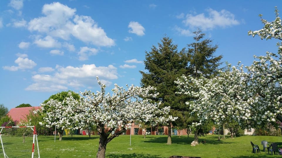 Landferienhof "Müritzufer" Apartment in Mecklenburgische Seenplatte
