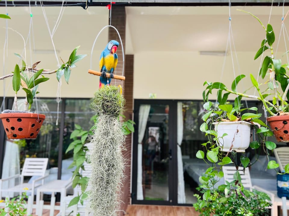 Day, Garden
