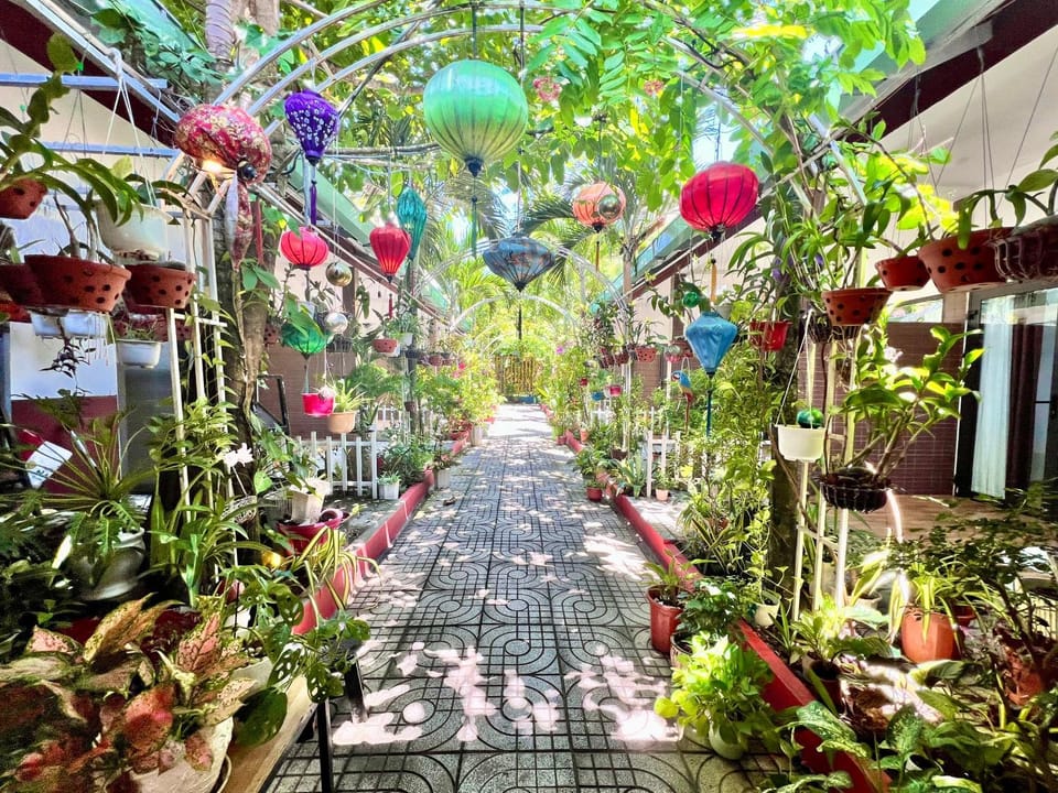 Day, Garden view