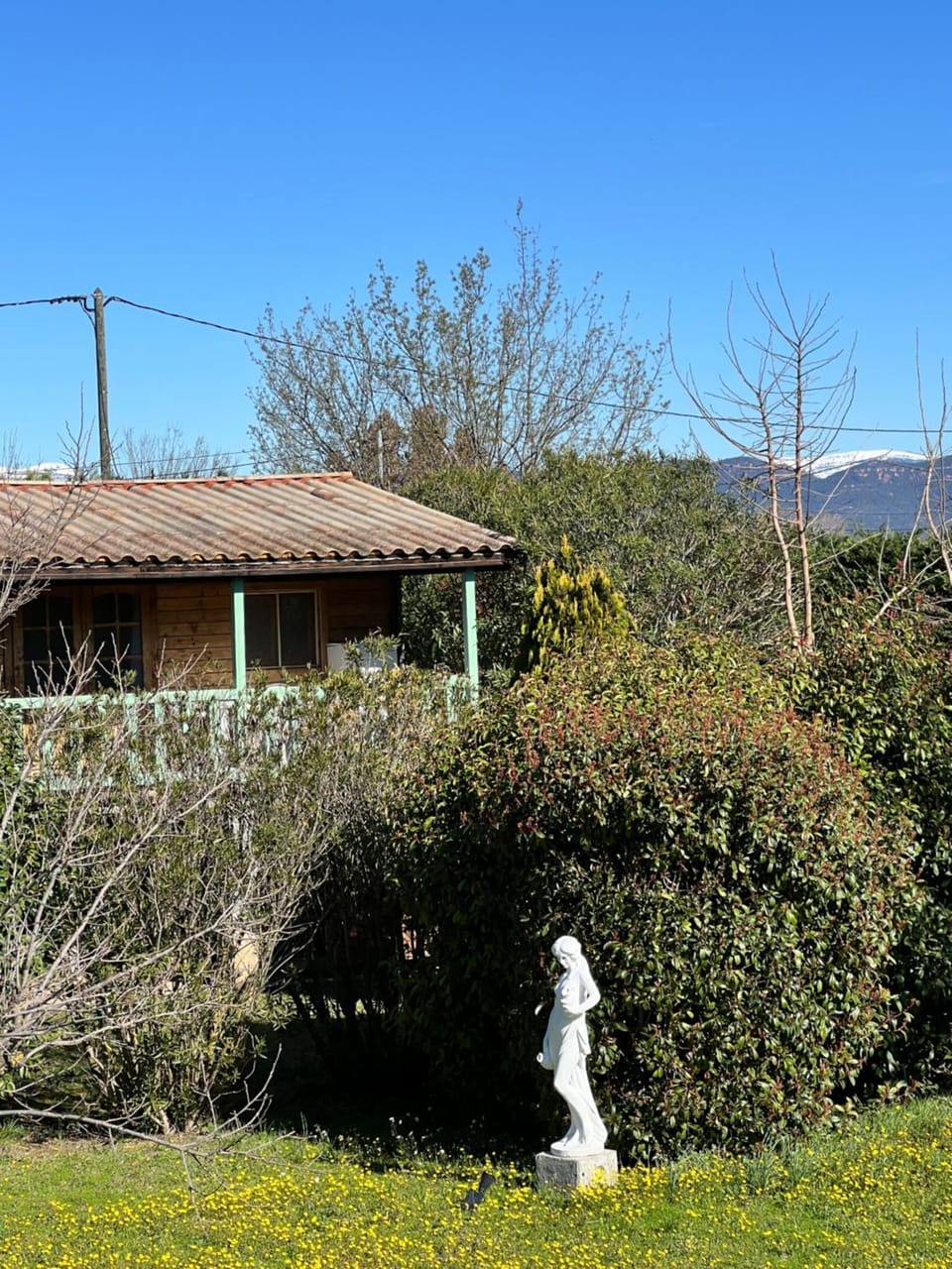 Chalets 1 MESANGE BLEUE Roquebrune Sur Argens Chalet in Roquebrune-sur-Argens