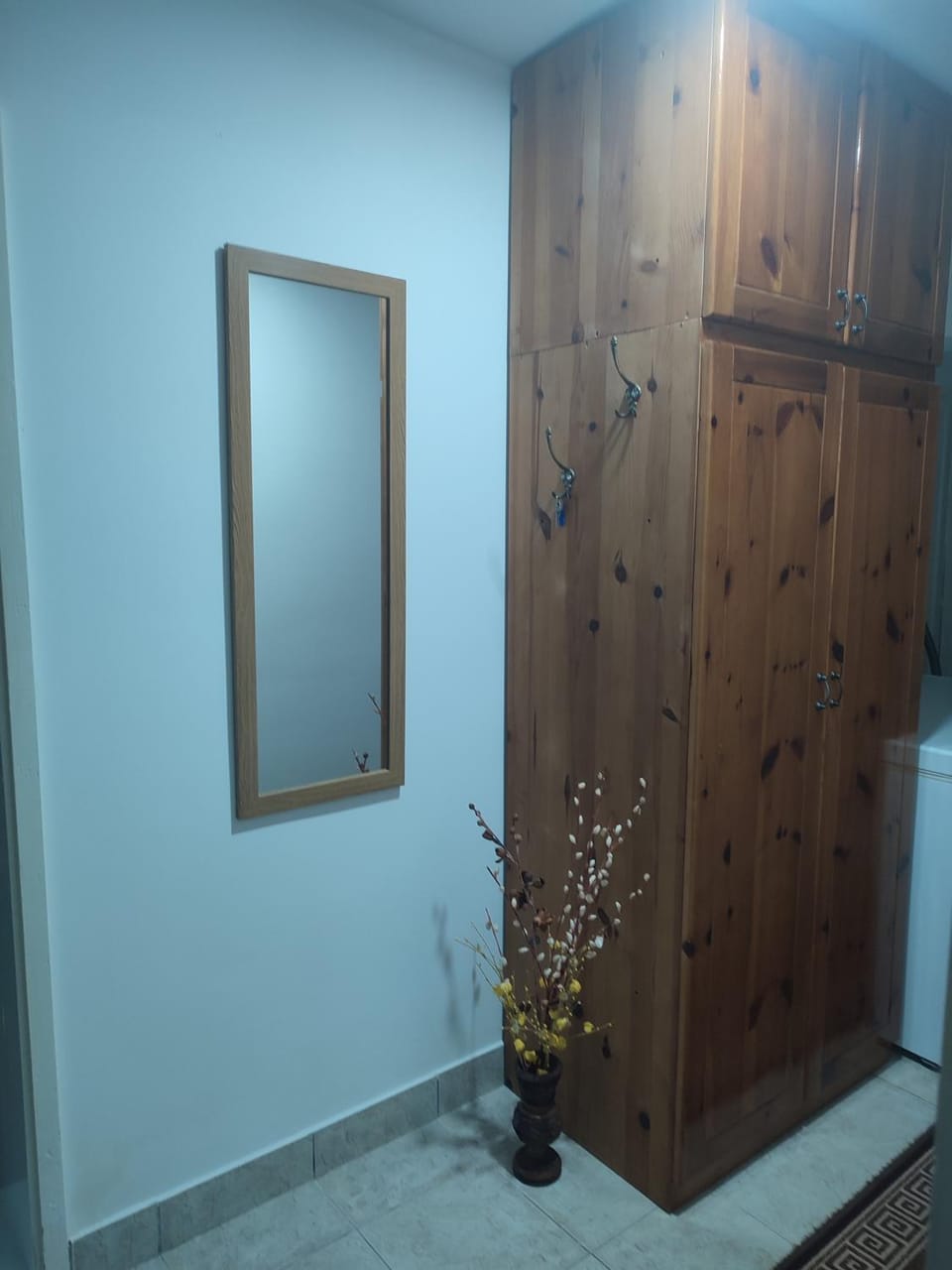 Joca Apartment in Zlatibor District, Serbia