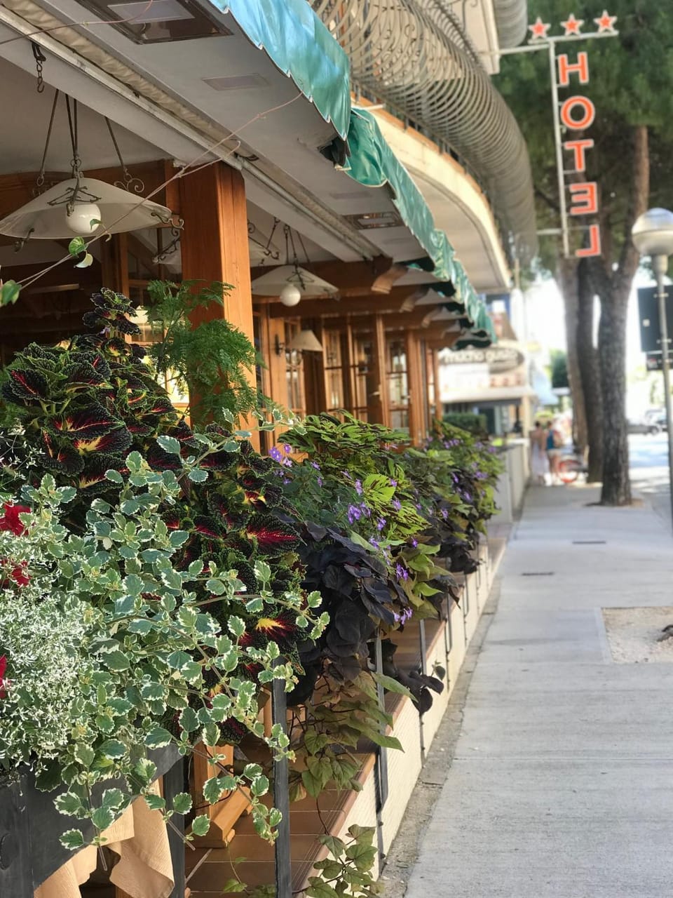 Hotel Corallo Hotel in Lignano Sabbiadoro