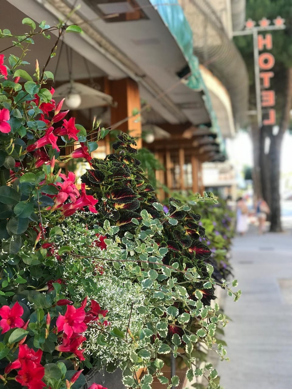 Hotel Corallo Hotel in Lignano Sabbiadoro
