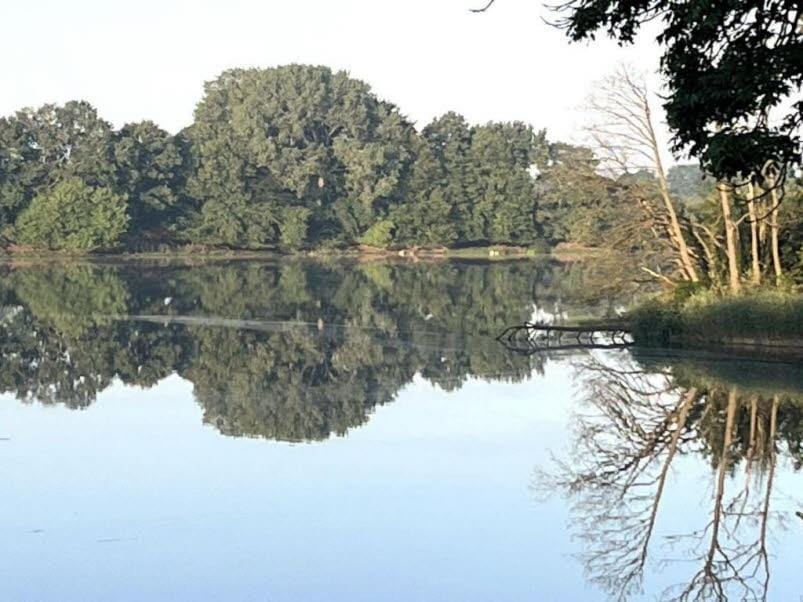 Lake view
