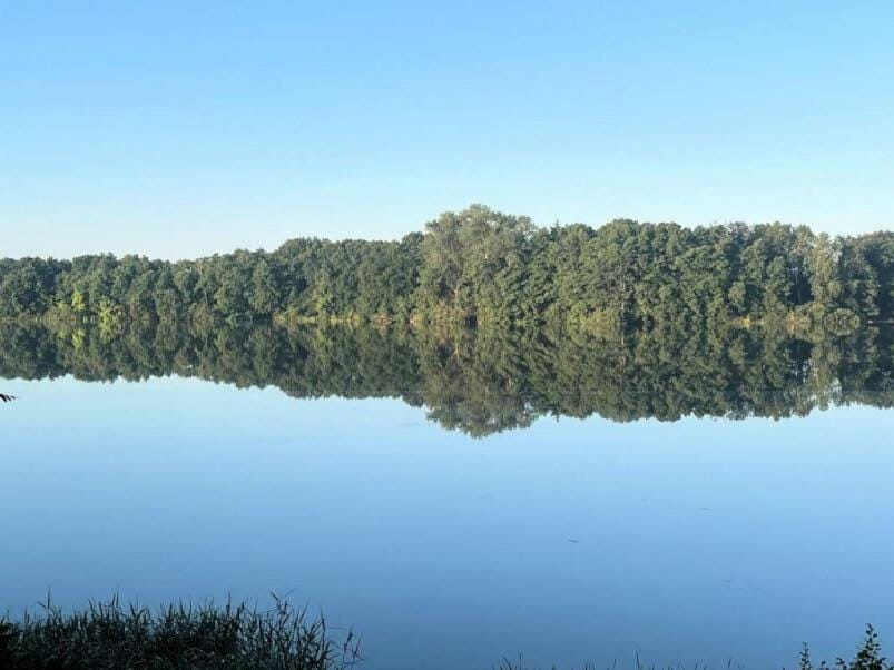 Lake view