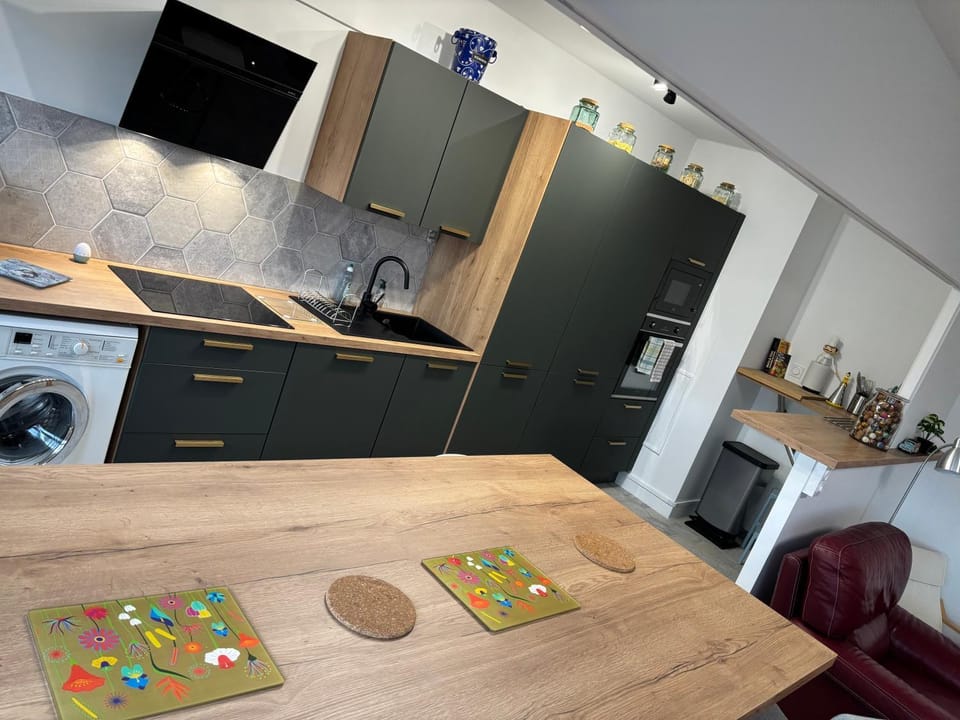 BedinReims elegant green bottle quiet and close to center free parking and wifi free ideal 5 à 9 Adultes Apartment in Reims