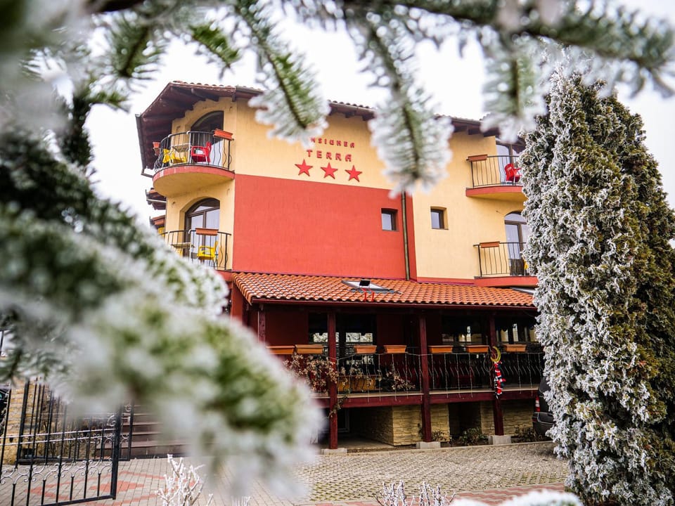 Pension Terra Bed and Breakfast in Romania