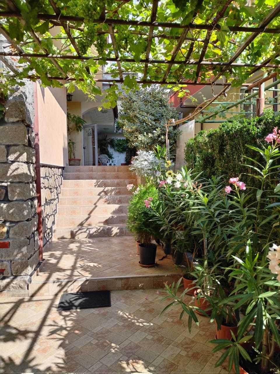 Property building, Spring, Day, Garden, Garden view