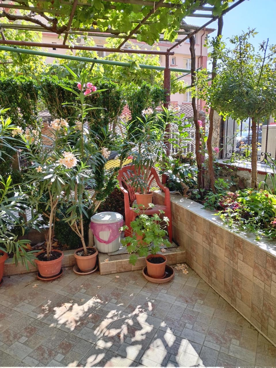 Spring, Day, Garden, On site, Garden view