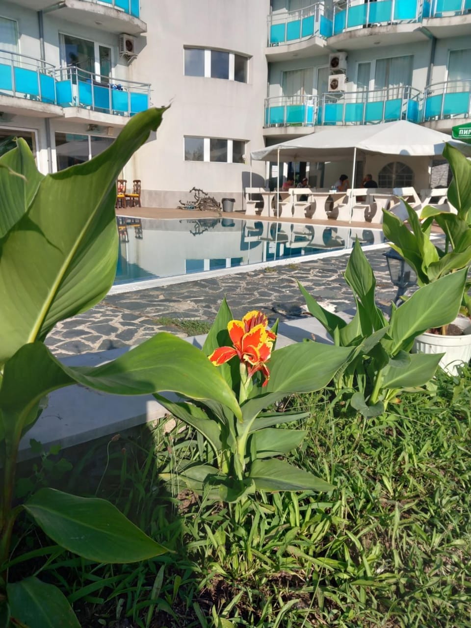 Swimming pool