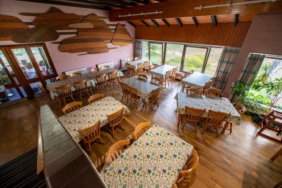 Restaurant/places to eat, Seating area, Dining area