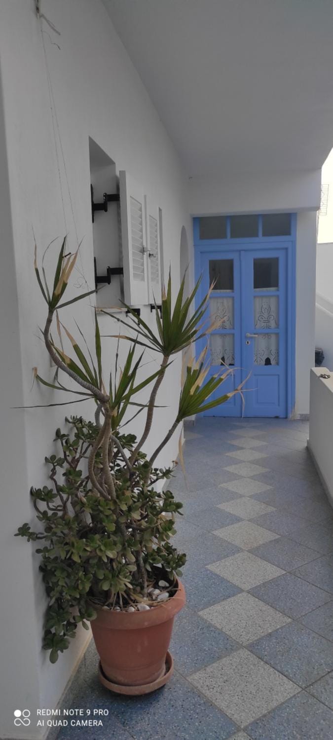 Loukia Apartments & Studios Apartment hotel in Naousa