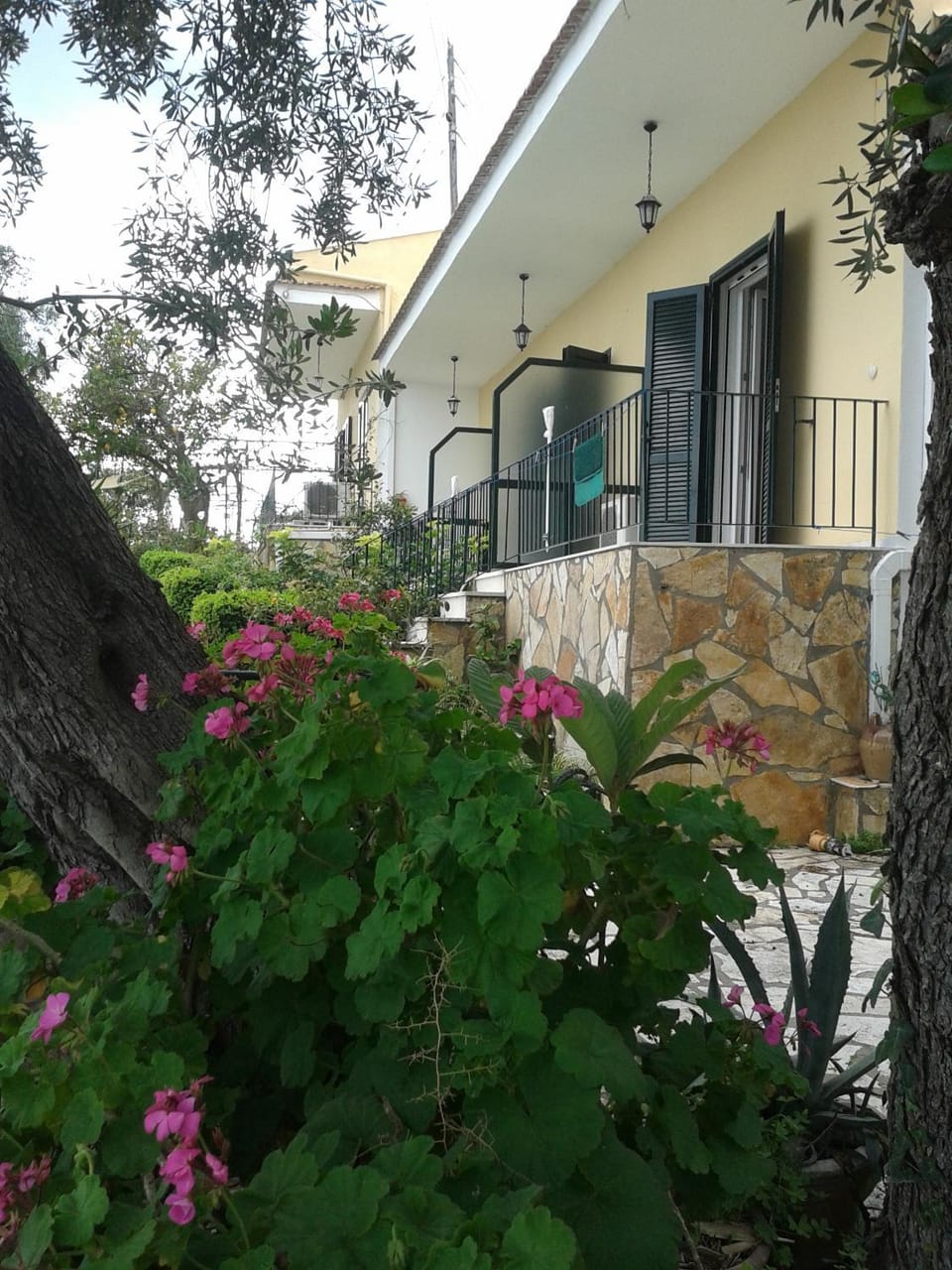 Property building, Garden view