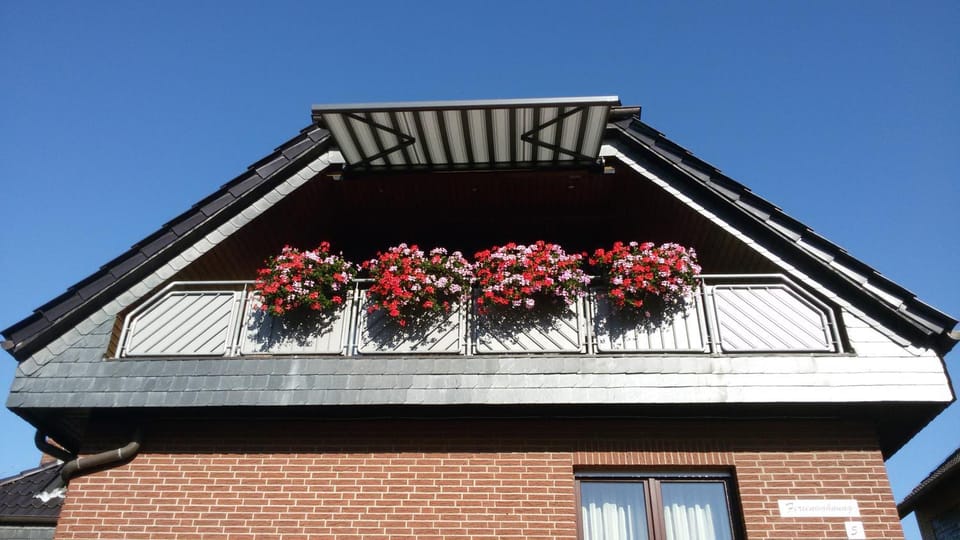 Property building, Balcony/Terrace