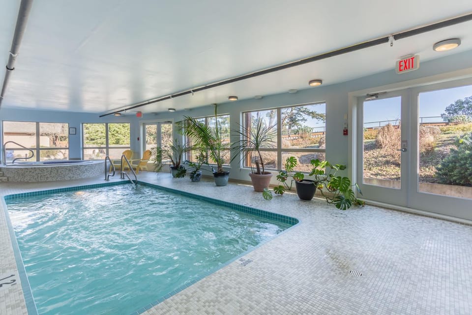 Swimming pool, Swimming pool