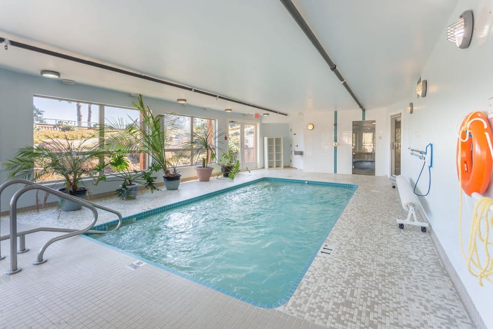 Swimming pool, Swimming pool